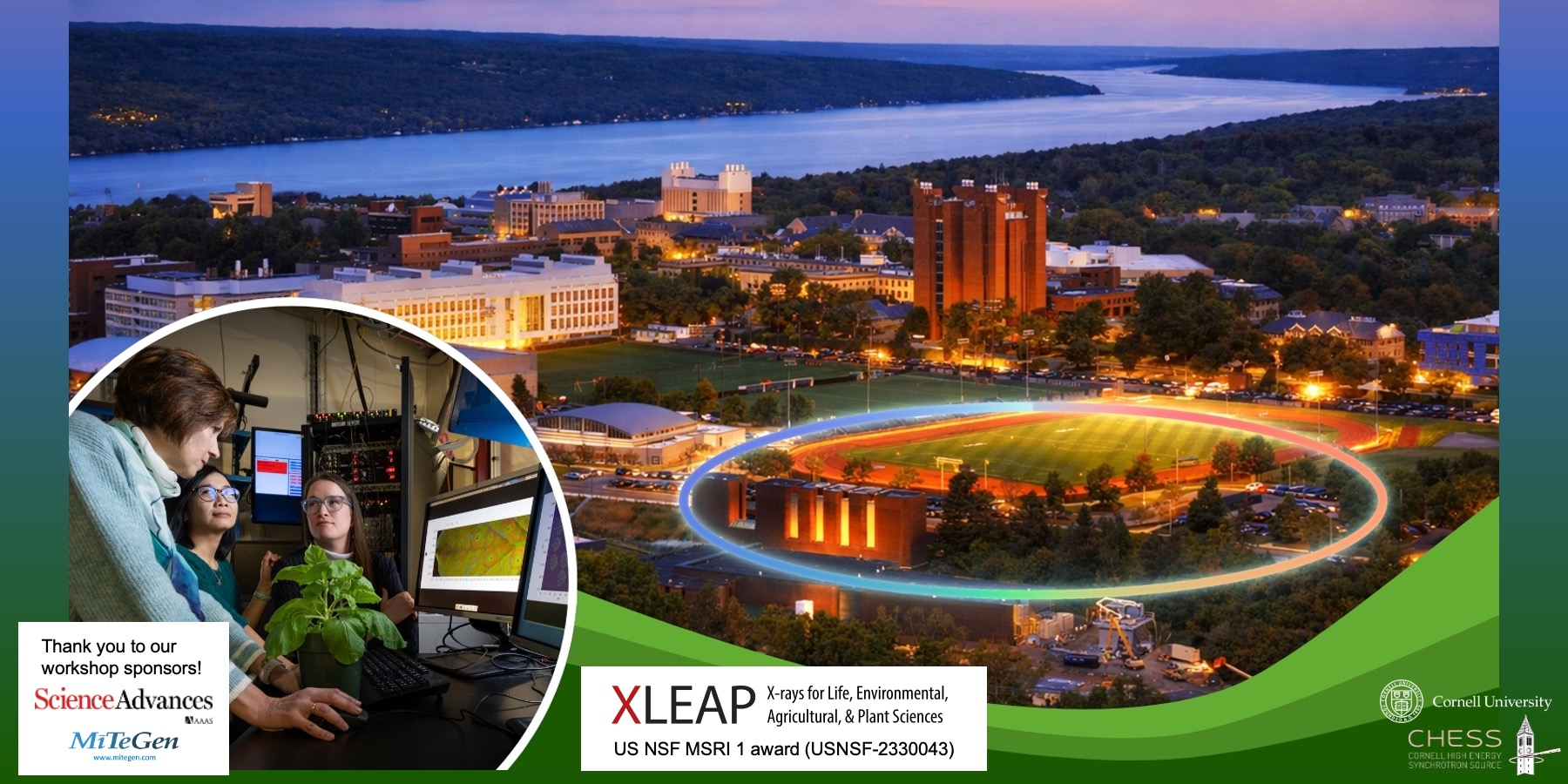 Synchrotron X-rays for Metals in Plants, Soils, and Environmental Systems: Early Science and Community Building at XLEAP